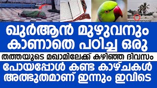 ഖുർആൻ മുഴുവനും കാണാതെ പഠിച്ച ഒരു തത്തയുടെ മഖാമിലെക്ക് കഴിഞ്ഞ ദിവസം പോയപ്പോൾ  Tamil Nadu Dargah [upl. by Chinua289]