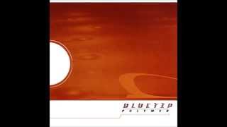 Bluetip  Polymer Dischord Records 121 2000 Full Album [upl. by Arhsub220]