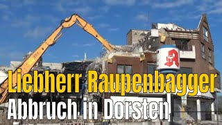 Liebherr Raupenbagger im Einsatz beim Abbruch in Dorsten [upl. by Marla]