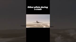 These are no normal pilotsplanecrash [upl. by Ekusuy92]