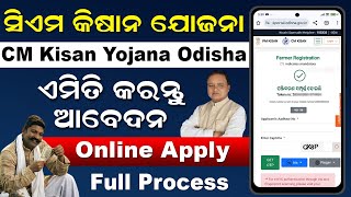 CM Kisan Yojana Online Apply Odisha  How To Apply CM Kisan Yojana Online 2024 Odia [upl. by Mitchell]