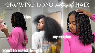 How Im Growing Long Hair in 2024  My Natural Hair Care Routine for Length Retention update [upl. by Hsiekal673]