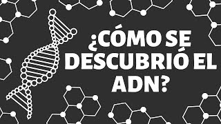 ¿Cómo se DESCUBRIÓ el ADN [upl. by Yremogtnom916]