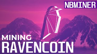 How To Mine Ravencoin  Ravencoin mining with NBminer [upl. by Beckie]