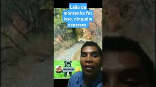 Esse vídeo viralizou na interneto leão da montanha fez isso de forma inesperado [upl. by Dorsey]