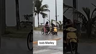 Bob Marley em Ilha comprida [upl. by Zerdna263]