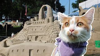 I Took my Cat to a SAND CARVING Competition for his Birthday [upl. by Melina]