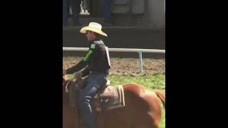 Paden Bray Wins Round 2 of Pendleton RoundUp With 87Second Run  shorts rodeo [upl. by Emina]