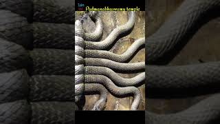 पद्मनाभस्वामी मंदिर में कितने दरवाजे हैं  Mystery of padmanabhaswamy temple shorts temple [upl. by Ztnarf]