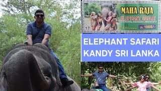 Elephant Safari at Randeniya Srl Lanka Day2 [upl. by Anak862]