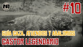 Red Dead Redemption 2  10 Castor Legendario  Atuendos  Abalorios [upl. by Prevot361]