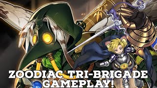 Zoodiac TriBrigade Gameplay August 2021  High Ceiling and High Reward for Getting Better [upl. by Ynahteb]