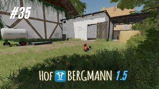 Hof Bergmann 15  Denkfehler bei den Hühnern  Let´sPlay 35 ls22 farming hofbergmann [upl. by Clementis]