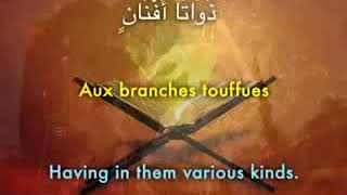 Roqya Sourate ArRahman  Abdelbasset Abdessamad avec soustitres traduits [upl. by Ertsevlis376]