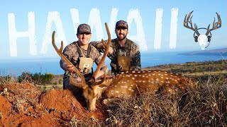 7 Lanai Axis Deer and Urban Hawaii Pig Hunting [upl. by Agnes]