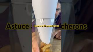 Astuce ULTIME contre les moucherons  astuce mouche moucherons piege antimoucherons [upl. by Daffie]