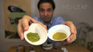 Everything you need to know about Matcha [upl. by Nnylhtak870]