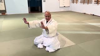 Aikido Helpful Hints on Chiba Senseis Kosa Dori Ikkyo [upl. by Anavahs]