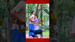 ছাগল চুরি করে কোরবানির হাটে বিক্রি😱shorts drama [upl. by Jedidiah436]