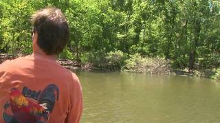 Redear and Bluegill on Lake Barkley [upl. by Asen275]