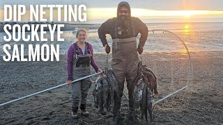 Harvesting Alaskan Sockeye Salmon  Canning and Preserving [upl. by Enyawd]