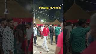 Daltonganj ka pandal trending navratrispecial navratri navratripandal [upl. by Pero]