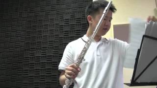 Taktakishvili Sonata for flute and piano in C  1st movement incomplete [upl. by Terej]